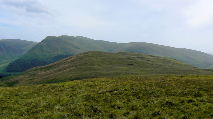 Carling Knott Carling Knott